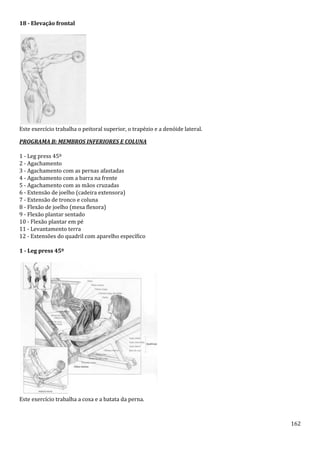 162
18 - Elevação frontal
Este exercício trabalha o peitoral superior, o trapézio e a denóide lateral.
PROGRAMA B: MEMBROS INFERIORES E COLUNA
1 - Leg press 45º
2 - Agachamento
3 - Agachamento com as pernas afastadas
4 - Agachamento com a barra na frente
5 - Agachamento com as mãos cruzadas
6 - Extensão de joelho (cadeira extensora)
7 - Extensão de tronco e coluna
8 - Flexão de joelho (mesa flexora)
9 - Flexão plantar sentado
10 - Flexão plantar em pé
11 - Levantamento terra
12 - Extensões do quadril com aparelho específico
1 - Leg press 45º
Este exercício trabalha a coxa e a batata da perna.
 