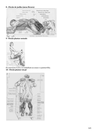 165
8 - Flexão de joelho (mesa flexora)
9 - Flexão plantar sentado
Os exercícios 9,10 e 11 trabalham as coxas e a panturrilha.
10 - Flexão plantar em pé
 