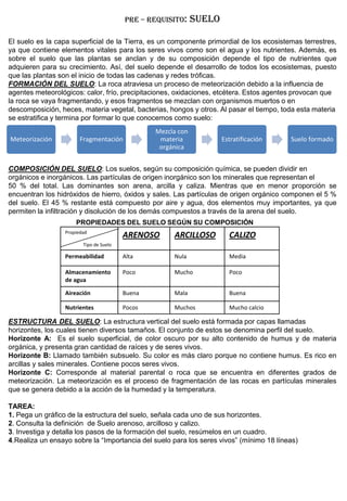 PRE – REQUISITO: SUELO
El suelo es la capa superficial de la Tierra, es un componente primordial de los ecosistemas terrestres,
ya que contiene elementos vitales para los seres vivos como son el agua y los nutrientes. Además, es
sobre el suelo que las plantas se anclan y de su composición depende el tipo de nutrientes que
adquieren para su crecimiento. Así, del suelo depende el desarrollo de todos los ecosistemas, puesto
que las plantas son el inicio de todas las cadenas y redes tróficas.
FORMACIÓN DEL SUELO: La roca atraviesa un proceso de meteorización debido a la influencia de
agentes meteorológicos: calor, frío, precipitaciones, oxidaciones, etcétera. Estos agentes provocan que
la roca se vaya fragmentando, y esos fragmentos se mezclan con organismos muertos o en
descomposición, heces, materia vegetal, bacterias, hongos y otros. Al pasar el tiempo, toda esta materia
se estratifica y termina por formar lo que conocemos como suelo:
COMPOSICIÓN DEL SUELO: Los suelos, según su composición química, se pueden dividir en
orgánicos e inorgánicos. Las partículas de origen inorgánico son los minerales que representan el
50 % del total. Las dominantes son arena, arcilla y caliza. Mientras que en menor proporción se
encuentran los hidróxidos de hierro, óxidos y sales. Las partículas de origen orgánico componen el 5 %
del suelo. El 45 % restante está compuesto por aire y agua, dos elementos muy importantes, ya que
permiten la infiltración y disolución de los demás compuestos a través de la arena del suelo.
ESTRUCTURA DEL SUELO: La estructura vertical del suelo está formada por capas llamadas
horizontes, los cuales tienen diversos tamaños. El conjunto de estos se denomina perfil del suelo.
Horizonte A: Es el suelo superficial, de color oscuro por su alto contenido de humus y de materia
orgánica, y presenta gran cantidad de raíces y de seres vivos.
Horizonte B: Llamado también subsuelo. Su color es más claro porque no contiene humus. Es rico en
arcillas y sales minerales. Contiene pocos seres vivos.
Horizonte C: Corresponde al material parental o roca que se encuentra en diferentes grados de
meteorización. La meteorización es el proceso de fragmentación de las rocas en partículas minerales
que se genera debido a la acción de la humedad y la temperatura.
TAREA:
1. Pega un gráfico de la estructura del suelo, señala cada uno de sus horizontes.
2. Consulta la definición de Suelo arenoso, arcilloso y calizo.
3. Investiga y detalla los pasos de la formación del suelo, resúmelos en un cuadro.
4.Realiza un ensayo sobre la “Importancia del suelo para los seres vivos” (mínimo 18 líneas)
Meteorización Fragmentación
Mezcla con
materia
orgánica
Estratificación Suelo formado
Propiedad
Tipo de Suelo
ARENOSO ARCILLOSO CALIZO
Permeabilidad Alta Nula Media
Almacenamiento
de agua
Poco Mucho Poco
Aireación Buena Mala Buena
Nutrientes Pocos Muchos Mucho calcio
PROPIEDADES DEL SUELO SEGÚN SU COMPOSICIÓN
 