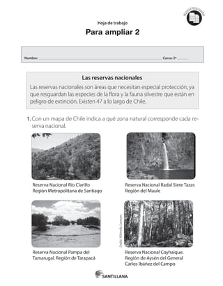 Mat
erialfotocopi
able
Hoja de trabajo
Para ampliar 2
Las reservas nacionales
Las reservas nacionales son áreas que necesitan especial protección, ya
que resguardan las especies de la flora y la fauna silvestre que están en
peligro de extinción. Existen 47 a lo largo de Chile.
1.	Con un mapa de Chile indica a qué zona natural corresponde cada re-
serva nacional.
Reserva Nacional Río Clarillo
Región Metropolitana de Santiago
Reserva Nacional Pampa del
Tamarugal. Región de Tarapacá
Reserva Nacional Radal Siete Tazas
Región del Maule
Reserva Nacional Coyhaique.
Región de Aysén del General
Carlos Ibáñez del Campo
Credito:WikimediaCommons
Nombre: Curso: 2º
 