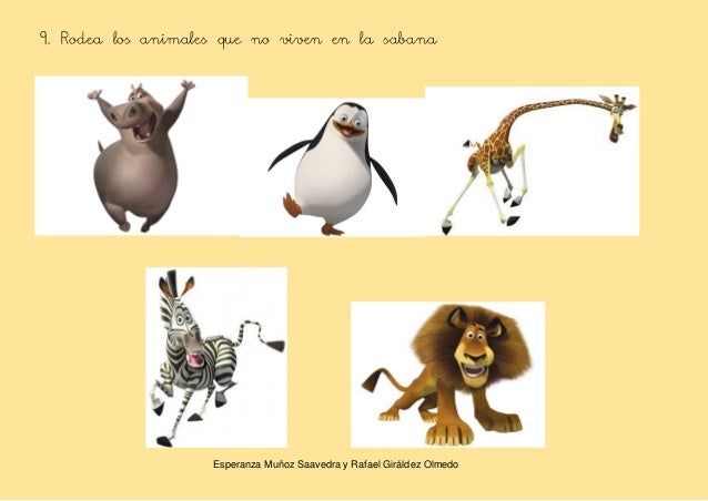 Nombre De Los Personajes De Madagascar