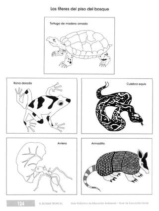 Guia didactica nive_inicial