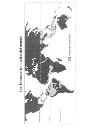 Guia didactica nive_inicial