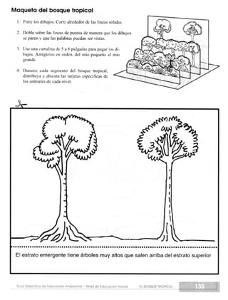 Guia didactica nive_inicial