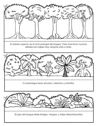 Guia didactica nive_inicial