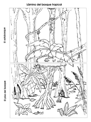 Guia didactica nive_inicial