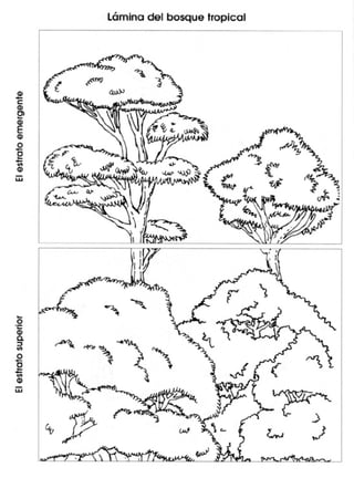 Guia didactica nive_inicial