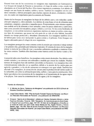 Guia didactica nive_inicial