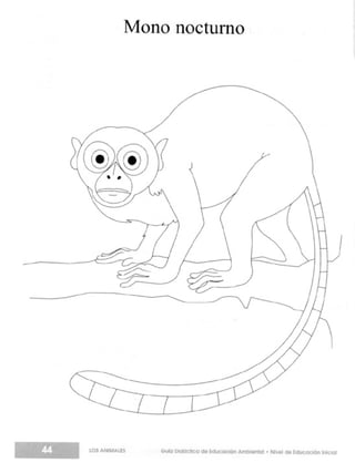 Guia didactica nive_inicial