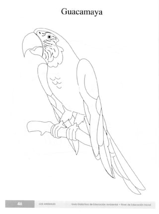 Guia didactica nive_inicial