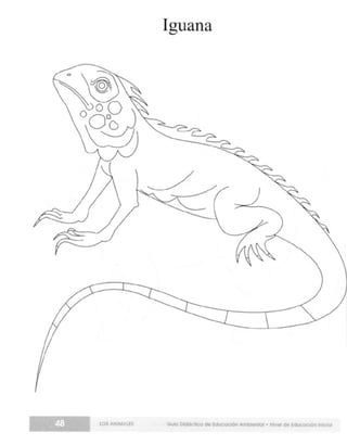 Guia didactica nive_inicial