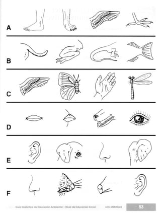 Guia didactica nive_inicial