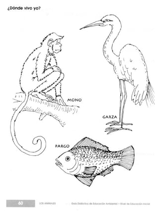 Guia didactica nive_inicial