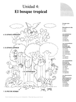 Guia didactica nive_inicial