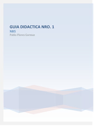 GUIA DIDACTICA NRO. 1
NB5
Pablo Flores Gormaz
 