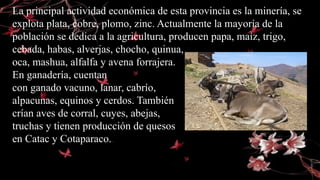 La principal actividad económica de esta provincia es la minería, se
explota plata, cobre, plomo, zinc. Actualmente la mayoría de la
población se dedica a la agricultura, producen papa, maíz, trigo,
cebada, habas, alverjas, chocho, quinua,
oca, mashua, alfalfa y avena forrajera.
En ganadería, cuentan
con ganado vacuno, lanar, cabrío,
alpacunas, equinos y cerdos. También
crían aves de corral, cuyes, abejas,
truchas y tienen producción de quesos
en Catac y Cotaparaco..
 