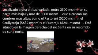 Catac:
Localizado a una altitud variada, entre 3500 msnm (en su
parte más baja) y más de 5000 msnm ―que alcanzan sus
cumbres más altas, como el Pastoruri (5200 msnm), el
Caullyaraju (5682 msnm) y el Pucaraju (6241 msnm)―. Está
situado en la margen derecha del río Santa en su recorrido
de sur a norte.
 