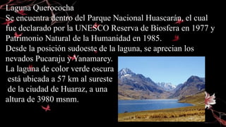 Laguna Querococha
Se encuentra dentro del Parque Nacional Huascarán, el cual
fue declarado por la UNESCO Reserva de Biosfera en 1977 y
Patrimonio Natural de la Humanidad en 1985.
Desde la posición sudoeste de la laguna, se aprecian los
nevados Pucaraju y Yanamarey.
La laguna de color verde oscura
está ubicada a 57 km al sureste
de la ciudad de Huaraz, a una
altura de 3980 msnm.
 