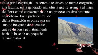 en la parte central de los cerros que sirven de marco orográfico
a la laguna, se ha generado una silueta que se asemeja al mapa
del Perú como consecuencia de un proceso erosivo bastante
caprichoso. En la parte central de
dicha formación se concentra un
tupido bosquete de quenuales
que se dispersa paulatinamente
hacia la base de un pequeño
abanico aluvial
 
