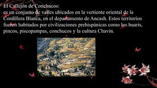 El Callejón de Conchucos:
es un conjunto de valles ubicados en la vertiente oriental de la
Cordillera Blanca, en el departamento de Ancash. Estos territorios
fueron habitados por civilizaciones prehispánicas como los huaris,
pincos, piscopampas, conchucos y la cultura Chavín.
 