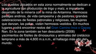 Los pueblos ubicados en esta zona normalmente se dedican a
la agricultura con producción de trigo y maíz, e importante
desarrollo de la minería con la mina de Antamina. Hermosos
paisajes andinos, de vida campesina y de pastores, grandes
celebraciones de fiestas patronales y religiosas, las mujeres
que danzan, las pallas, visten hermosos vestidos. En muchos
lugares podrá encontrar restos del Gran Camino Inca o Qapaq
Ñan. En la zona también se han descubierto (2008)
yacimientos de fósiles de dinosaurios y animales del cretácico
temprano a más de 4,600 m.s.n.m., el hallazgo más alto del
mundo.
 