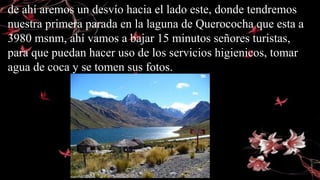 de ahí aremos un desvío hacia el lado este, donde tendremos
nuestra primera parada en la laguna de Querococha que esta a
3980 msnm, ahí vamos a bajar 15 minutos señores turistas,
para que puedan hacer uso de los servicios higienicos, tomar
agua de coca y se tomen sus fotos.
 