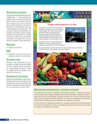 aprendiZaJes esperados
 Esta página está dedicada a la sección
 ¿Sabías que…? cuyo propósito es
                                            ¿Sabías que...?
 proporcionar otra visión al tema del
 agua, en este caso resaltar el hecho
 que el agua no es una sustancia
 ajena a todos nosotros, o que sólo se                               El agua está presente en tu vida
 estudia en un laboratorio, sino que             El agua forma parte de los grandes
 “está presente en nuestras vidas”. Tal          cuerpos de agua; como los océanos,
 presencia hay que entenderla en un              mares, lagos, ríos, entre otros. Todos
 sentido muy amplio, porque el agua              están formados principalmente
 participa activamente en el cuerpo              por agua, pero también poseen
                                                 sólidos disueltos que cambian sus
 humano, los alimentos y en toda la              características. Por eso el agua de
 naturaleza. Se puede aﬁrmar que                 mar es salada, y no así la de un río.
 ella hace posible nuestra existencia.
                                                 El agua forma las nubes, la lluvia, la
                                                 neblina, la nieve, los glaciares, los
 HaBilidad                                       icebergs, la escarcha, el rocío, etcétera.
 • Explorar el entorno.                          El agua también está presente en la mayor parte de los alimentos;
                                                 como las frutas, las verduras y la leche líquida.
 oaT
 • Demostrar interés por conocer la
   realidad y utilizar el conocimiento.

 acTiVidad preVia
 Plantear a los estudiantes que ex-
 pongan sus experiencias personales
 al visitar lugares de la naturaleza
 en cuyos paisajes abunda el agua
 en cualquiera de sus estados: ríos,
 vertientes, nieve, etc.

 suGerencia de eValuación
 Efectuar una evaluación a partir de un
 listado de alimentos que conozcan los
                                           72   Unidad 3 • Lección 4: Características del agua
 estudiantes y que se caractericen por
 contener abundante materia líquida
 en su contenido, como las frutas.
                                          orienTaciones MeTodolóGicas Y resulTados esperados
                                          Si se dispone en la sala de un equipo multimedia, proyectar un video que muestre
                                          una excursión por los lugares del planeta que exhiben grandes cantidades de agua en
                                          todas sus formas, como glaciares, cataratas, océanos, etc. Como ya tienen nociones
                                          acerca de los cambios de estado del agua, se da la oportunidad para conectar con
                                          el tema del ciclo del agua que se plantea más adelante en el texto.
                                          Si no se cuenta con equipo de proyección, se puede aprovechar la actividad previa
                                          en la que los estudiantes narraron sus propias experiencias al encontrarse en paisajes
                                          con agua en sus diferentes estados.




108   Guía Didáctica para el Profesor
 