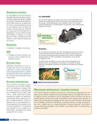 aprendiZaJes esperados
En esta página se inicia la serie que
describe la situación de algunos de los         La chinchilla
animales chilenos que están en peligro          Es una de las especies en estado más crítico. Antes abundaba en la
de extinción, destacando dos especies:          zona norte cordillerana de Chile. Se dice que es el animal más suave
la chinchilla y el puma. Se espera que          del mundo. Lamentablemente esta cualidad la llevó a ser cazada
los niños y niñas aprendan las zonas            indiscriminadamente, casi llevándola a la extinción, para confeccionar
                                                abrigos con su piel.
en que habitan estos animales de
manera natural como así también
las causas que lo han llevado casi a
desaparecer: la caza indiscriminada
para obtener su pelaje, en el caso
de la chinchilla; y la destrucción del                 Científicos
hábitat y caza indiscriminada para                     cibernéticos
los pumas.                                        Tema: Los parques
                                                  Dirección:
                                                  http://www.parquesparachile.cl               Chinchillas
HaBilidades
• Explorar, investigar y comunicar.
                                                El puma
oaT                                             Es el carnívoro más grande en Chile. Escasamente puede ser visto en
                                                zonas montañosas de la cordillera de los Andes. El ser humano vio
• Proteger el entorno natural y sus             en el puma una amenaza para su ganado, por lo que fue cazándolo,
  recursos como contexto de de-                 disminuyendo con ello su población. Actualmente, se encuentra
  sarrollo humano.                              protegido por ley.

                                                La destrucción del hábitat es una de las causas principales en la
acTiVidad preVia                                disminución de una población de animales. La creación de áreas
                                                silvestres protegidas contribuye al cuidado de los diferentes hábitats
Cientíﬁcos cibernéticos es una ac-              chilenos.
tividad que invita a los alumnos
y alumnas a visitar el sitio http://                                                    Puma
                                                                                                   Razona
www.parquesparachile.cl, donde
                                                                                               Expone al curso tres
encontrarán información de diferen-                                                            medidas que se podrían
tes iniciativas de conservación para                                                           implementar para
nuestro país.                                                                                  proteger especies en
                                                                                               peligro de extinción.

acTiVidad coMpleMenTaria                  34   Unidad 1 • Lección 2: Ciclo de vida y hábitat

Una excelente actividad comple-
mentaria es que los niños entrevis-
ten a sus familiares y amigos y les
formulen preguntas relacionadas           orienTaciones MeTodolóGicas Y resulTados esperados
con el hábitat y los animales, tales      En la sección Razona se solicita a los alumnos y alumnas que propongan tres me-
como: ¿Sabe usted que existen             didas que se podrían implementar para proteger especies en peligro de extinción.
animales en peligro de extinción?         El objetivo de esta actividad es que los estudiantes tomen conciencia de que es
¿Qué puede hacer usted para cui-          posible generar cambios que eviten la pérdida de estas especies para siempre. Se
dar el medioambiente? ¿Cómo se            espera que las propuestas entregadas por los alumnos y alumnas estén relacionadas
puede evitar la contaminación? u          con el cuidado y protección del hábitat. Se pueden orientar sus ideas con pregun-
otras preguntas formuladas por los        tas como: ¿Saben qué es un Parque Nacional o Reserva Nacional? ¿Qué leyes o
mismos estudiantes. Es importante         normas harías para proteger a los animales? ¿Se puede enseñar a las personas a
que registren en sus cuadernos la         cuidar los animales?
información recabada para luego
compartirla en la clase.



50   Guía Didáctica para el Profesor
 