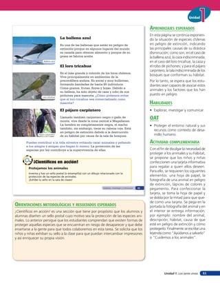 Unidad


                                                                                                             aprendiZaJes esperados
                                                                                                             En esta página se continúa exponien-
                                    La ballena azul                                                          do la situación de especies chilenas
                                    Es una de las ballenas que están en peligro de                           en peligro de extinción, indicando
                                    extinción porque en algunos lugares del mundo                            las principales causas de su drástica
                                    es cazada para obtener alimento y porque de su                           disminución; como son, en el caso de
                                    grasa se fabrica aceite.                                                 la ballena azul, la caza indiscriminada;
                     Ballena azul                                                                            en el caso del loro tricahue, la caza y
                                    El loro tricahue                                                         el robo de pichones; y para el pájaro
                                                                                                             carpintero, la tala indiscriminada de los
                                    Es el más grande y colorido de los loros chilenos.
                                    Vive principalmente en ambientes de la
                                                                                                             bosques que conforman su hábitat.
                                    precordillera andina. Es social y muy bullicioso,                        Por lo tanto, se espera que los estu-
                                    formando bandadas de hasta 80 individuos.                                diantes sean capaces de asociar estos
                                    Come granos, frutas, flores y hojas. Debido a
                                    su belleza, ha sido objeto de caza y robo de sus
                                                                                                             animales y los factores que los han
                                    pichones para mascota. ¿Cómo podemos evitar                              puesto en peligro.
                    Loro tricahue
                                    que el loro tricahue sea comercializado como
                                    mascota?                                                                 HaBilidades
                                    El pájaro carpintero                                                     • Explorar, investigar y comunicar.
                                    Llamado también carpintero negro o gallo de
                                    monte, vive desde la zona central a Magallanes.
                                                                                                             oaT
                                    La hembra es completamente negra, el macho                               • Proteger el entorno natural y sus
                                    también, sin embargo, tiene su cabeza roja. Está
                                                                                                               recursos como contexto de desa-
                                    en peligro de extinción debido a la destrucción
                Pájaro carpintero
                                    de su hábitat por causa de la tala de bosques.                             rrollo humano.

       Puedes contribuir a la vida silvestre evitando cazar animales y pidiendo                              acTiVidad coMpleMenTaria
       a tus amigos y amigas que hagan lo mismo. La protección de las
       especies por ley contribuye a la supervivencia de ellas.                                              Con el ﬁn de divulgar la necesidad de
                                                                                                             proteger a los animales y su hábitat,
                                                                                                             se propone que los niños y niñas
           ¡Científicos en acción!                                                                           confeccionen una tarjeta informativa
        Protejamos los animales                                                                              para regalar a quien ellos deseen.
                                                                                                             Para ello, se requieren los siguientes
        Inventa y haz un sello postal (o estampilla) con un dibujo relacionado con la
        protección de las especies de animales.                                                              elementos: una hoja de papel, la
        ¡Exhibe tu sello en la sala de clases!                                                               fotografía de una animal en peligro
                                                                                                             de extinción, lápices de colores y
                                                                     Explorar, investigar y comunicar   35   pegamento. Para confeccionar la
                                                                                                             tarjeta, se toma la hoja de papel y
                                                                                                             se dobla por la mitad para que que-
                                                                                                             de como una tarjeta. Se pega en la
orienTaciones MeTodolóGicas Y resulTados esperados                                                           portada la fotografía del animal y en
¡Cientíﬁcos en acción! es una sección que tiene por propósito que los alumnos y                              el interior se entrega información;
alumnas diseñen un sello postal cuyo motivo sea la protección de las especies ani-                           por ejemplo: nombre del animal,
males. Lo anterior persigue que los estudiantes comprendan que existen formas de                             descripción, hábitat, causa de que
proteger aquellas especies que se encuentran en riesgo de desaparecer y que debe                             esté en peligro de extinción y cómo
enseñarse a la gente para que todos colaboremos en esta tarea. Se solicita que los                           protegerlo. Finalmente se escribe una
niños y niñas exhiban su sello a la clase para que puedan intercambiar impresiones                           leyenda como “Ayúdanos a salvarlo”
y así enriquecer su propia visión.                                                                           o “Cuidemos a los animales”.




                                                                                                                       Unidad 1: Los seres vivos    51
 