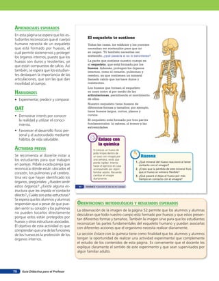 aprendiZaJes esperados
En esta página se espera que los es-
tudiantes reconozcan que el cuerpo               El esqueleto te sostiene
humano necesita de un esqueleto                  Todas las casas, los edificios y los puentes
que está formado por huesos, el                  necesitan ser sostenidos para que no
cual permite sostenernos y proteger              se caigan. Tú también necesitas ser
los órganos internos, puesto que los             sostenido, ¿qué pasaría si no lo estuvieras?
huesos son duros y resistentes, ya               La parte que sostiene nuestro cuerpo es
                                                 el esqueleto, que está formado por los
que están compuestos de calcio. Así
                                                 huesos. Además, protegen los órganos
también, se espera que los estudian-             internos, como el corazón, pulmones y
tes destaquen la importancia de las              cerebro, ya que contienen un mineral
articulaciones, que son las que dan              llamado calcio que los hace duros y
movilidad al cuerpo.                             resistentes.
                                                 Los huesos que forman el esqueleto
HaBilidades                                      se unen entre sí por medio de las
                                                 articulaciones, permitiendo el movimiento
• Experimentar, predecir y comparar.             de ellos.
                                                 Nuestro esqueleto tiene huesos de
oaT                                              diferentes formas y tamaños; por ejemplo,
                                                 tiene huesos largos, cortos, planos y
• Demostrar interés por conocer                  curvos.
  la realidad y utilizar el conoci-              El esqueleto está formado por tres partes
  miento.                                        fundamentales: la cabeza, el tronco y las
                                                 extremidades.
• Favorecer el desarrollo físico per-
  sonal y el autocuidado mediante
  hábitos de vida saludable.                                Enlace con
                                                            la química
acTiVidad preVia                                       Si colocas un hueso de
                                                       pollo limpio dentro de
Se recomienda al docente instar a                      un vaso con vinagre por               Razona
los estudiantes para que trabajen                      una semana, verás que
                                                                                         1. ¿Qué mineral del hueso reaccionó al tener
                                                       pierde rigidez. Intenta
en parejas. Pídale a cada pareja que                   hacer el ejercicio en casa           contacto con el vinagre?
reconozca dónde están ubicados el                      acompañado por algún              2. ¿Crees que la pérdida de este mineral hizo
corazón, los pulmones y el cerebro.                    familiar adulto. Recuerda            que el hueso se volviera flexible?
                                                       cambiar el vinagre                3. ¿Qué pasará si dejas el hueso por más
Una vez que hayan identiﬁcado los                      diariamente.                         tiempo en contacto con el vinagre?
órganos, pregúnteles: ¿Pueden sentir
estos órganos? ¿Existe alguna es-          52   Unidad 2 • Lección 3: Así es mi cuerpo

tructura que les impida el contacto
directo? ¿Cuáles son estas estructuras?
Se espera que los alumnos y alumnas
respondan que a pesar de que pue-         orienTaciones MeTodolóGicas Y resulTados esperados
den sentir su corazón y los pulmones
                                          La observación de la imagen de la página 52 permite que los alumnos y alumnas
no pueden tocarlos directamente
                                          descubran que todo nuestro cuerpo está formado por huesos y que estos presen-
porque estos están protegidos por
                                          tan diferentes formas y tamaños. También la imagen sirve para que los estudiantes
huesos y otras estructuras asociadas.
                                          reconozcan las partes fundamentales del esqueleto humano y puedan asociarlas
El objetivo de esta actividad es que
                                          con diferentes acciones que el organismo necesita realizar diariamente.
comprendan que una de las funciones
de los huesos es la protección de los     La sección Enlace con la química tiene como ﬁnalidad que los alumnos y alumnos
órganos internos.                         tengan la oportunidad de realizar una actividad experimental que complemente
                                          el estudio de los contenidos de esta página. Es conveniente que el docente les
                                          explique claramente el sentido de este experimento y que sean supervisados por
                                          algún familiar adulto.




78   Guía Didáctica para el Profesor
 
