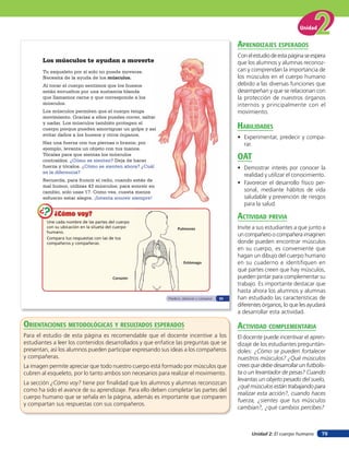 Unidad


                                                                                                aprendiZaJes esperados
                                                                                                Con el estudio de esta página se espera
       Los músculos te ayudan a moverte                                                         que los alumnos y alumnas reconoz-
       Tu esqueleto por sí solo no puede moverse.                                               can y comprendan la importancia de
       Necesita de la ayuda de los músculos.                                                    los músculos en el cuerpo humano
       Al tocar el cuerpo sentimos que los huesos                                               debido a las diversas funciones que
       están envueltos por una sustancia blanda                                                 desempeñan y que se relacionan con
       que llamamos carne y que corresponde a los                                               la protección de nuestros órganos
       músculos.                                                                                internos y principalmente con el
       Los músculos permiten que el cuerpo tenga                                                movimiento.
       movimiento. Gracias a ellos puedes correr, saltar
       y nadar. Los músculos también protegen el
       cuerpo porque pueden amortiguar un golpe y así                                           HaBilidades
       evitar daños a los huesos y otros órganos.
                                                                                                • Experimentar, predecir y compa-
       Haz una fuerza con tus piernas o brazos; por                                               rar.
       ejemplo, levanta un objeto con tus manos.
       Tócalas para que sientas los músculos
       contraídos. ¿Cómo se sienten? Deja de hacer
                                                                                                oaT
       fuerza y tócalos. ¿Cómo se sienten ahora? ¿Cuál                                          • Demostrar interés por conocer la
       es la diferencia?
                                                                                                  realidad y utilizar el conocimiento.
       Recuerda, para fruncir el ceño, cuando estás de
                                                                                                • Favorecer el desarrollo físico per-
       mal humor, utilizas 43 músculos; para sonreír en
       cambio, solo usas 17. Como ves, cuesta menos                                               sonal, mediante hábitos de vida
       esfuerzo estar alegre. ¡Intenta sonreír siempre!                                           saludable y prevención de riesgos
                                                                                                  para la salud.
            ¿Cómo voy?                                                                          acTiVidad preVia
         Une cada nombre de las partes del cuerpo
         con su ubicación en la silueta del cuerpo               Pulmones                       Invite a sus estudiantes a que junto a
         humano.
                                                                                                un compañero o compañera imaginen
         Compara tus respuestas con las de tus
         compañeros y compañeras.                                                               donde pueden encontrar músculos
                                                                                                en su cuerpo, es conveniente que
                                                                                                hagan un dibujo del cuerpo humano
                                                                    Estómago                    en su cuaderno e identiﬁquen en
                                                                                                qué partes creen que hay músculos,
                                         Corazón                                                pueden pintar para complementar su
                                                                                                trabajo. Es importante destacar que
                                                                                                hasta ahora los alumnos y alumnas
                                                           Predecir, observar y comparar   53   han estudiado las características de
                                                                                                diferentes órganos, lo que les ayudará
                                                                                                a desarrollar esta actividad.

orienTaciones MeTodolóGicas Y resulTados esperados                                              acTiVidad coMpleMenTaria
Para el estudio de esta página es recomendable que el docente incentive a los                   El docente puede incentivar el apren-
estudiantes a leer los contenidos desarrollados y que enfatice las preguntas que se             dizaje de los estudiantes preguntán-
presentan, así los alumnos pueden participar expresando sus ideas a los compañeros              doles: ¿Cómo se pueden fortalecer
y compañeras.                                                                                   nuestros músculos? ¿Qué músculos
La imagen permite apreciar que todo nuestro cuerpo está formado por músculos que                crees que debe desarrollar un futbolis-
cubren al esqueleto, por lo tanto ambos son necesarios para realizar el movimiento.             ta o un levantador de pesas? Cuando
                                                                                                levantas un objeto pesado del suelo,
La sección ¿Cómo voy? tiene por ﬁnalidad que los alumnos y alumnas reconozcan
                                                                                                ¿qué músculos están trabajando para
como ha sido el avance de su aprendizaje. Para ello deben completar las partes del
                                                                                                realizar esta acción?, cuando haces
cuerpo humano que se señala en la página, además es importante que comparen
                                                                                                fuerza, ¿sientes que tus músculos
y compartan sus respuestas con sus compañeros.
                                                                                                cambian?, ¿qué cambios percibes?



                                                                                                      Unidad 2: El cuerpo humano     79
 