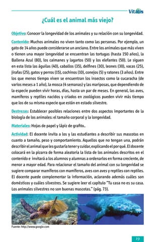 ¿Cuál es el animal más viejo?
Objetivo: Conocer la longevidad de los animales y su relación con su longevidad.
Contenido: Muchos animales no viven tanto como las personas. Por ejemplo, un
gato de 14 años puede considerarse un anciano. Entre los animales que más viven
o tienen una mayor longevidad se encuentran las tortugas (hasta 150 años), la
Ballena Azul (80), los caimanes y lagartos (50) y los elefantes (50). Le siguen
en esta lista las águilas (40), caballos (35), delfines (30), leones (30), vacas (25),
jirafas (25), gatos y perros (15), cochinos (10), conejos (5) y ratones (3 años). Entre
los que menos tiempo viven se encuentran los insectos como la cucaracha (de
varios meses a 1 año), la mosca (4 semanas) y las mariposas, que dependiendo de
la especie pueden vivir horas, días, hasta un par de meses. En general, las aves,
mamíferos y reptiles nacidos y criados en zoológicos pueden vivir más tiempo
que los de su misma especie que están en estado silvestre.
Destrezas: Establecer posibles relaciones entre dos aspectos importantes de la
biología de los animales: el tamaño corporal y la longevidad.
Materiales: Hojas de papel y lápiz de grafito..
Actividad: El docente invita a los y las estudiantes a describir sus mascotas en
cuanto a tamaño, peso y comportamiento. Aquellos que no tengan una, podrán
describir el animal que les gustaría tener y cuidar, explicando el por qué. El docente
colocará en la pizarra de forma aleatoria la lista de los animales descritos en el
contenido e invitará a los alumnos y alumnas a ordenarlos en forma creciente, de
menor a mayor edad. Para relacionar el tamaño del animal con su longevidad se
sugiere comparar mamíferos con mamíferos, aves con aves y reptiles con reptiles.
El docente puede complementar la información, aclarando además cuáles son
domésticos y cuáles silvestres. Se sugiere leer el capítulo “Tu casa no es su casa.
Los animales silvestres no son buenas mascotas.” (pág. 73).

Fuente: http://www.google.com



 