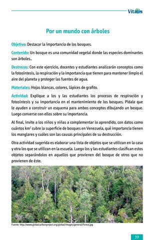 Por un mundo con árboles
Objetivo: Destacar la importancia de los bosques.
Contenido: Un bosque es una comunidad vegetal donde las especies dominantes
son árboles..
Destrezas: Con este ejercicio, docentes y estudiantes analizarán conceptos como
la fotosíntesis, la respiración y la importancia que tienen para mantener limpio el
aire del planeta y proteger las fuentes de agua.
Materiales: Hojas blancas, colores, lápices de grafito.
Actividad: Explique a los y las estudiantes los procesos de respiración y
fotosíntesis y su importancia en el mantenimiento de los bosques. Pídale que
le ayu­den a construir un esquema para ambos conceptos dibujando un bosque.
Luego converse con ellos sobre su importancia.
Al final, invite a los niños y niñas a complementar lo aprendido, con datos como
cuántos km2 cubre la superficie de bosques en Venezuela, qué importancia tienen
los manglares y cuáles son las causas principales de su destrucción.
Otra actividad sugerida es elaborar una lista de objetos que se utilizan en la casa
y otra los que se utilizan en la escuela. Luego los y las estudiantes clasi­ can estos
fi
objetos separándolos en aquellos que provienen del bosque de otros que no
provienen de éste.

Fuente: http://www.globalcarbonproject.org/global/images/general/Forest.jpg



 