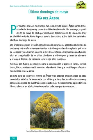 Guía Docente del Calendario Ambiental Escolar

Último domingo de mayo
Día del Árbol

P

or muchos años, el 29 de mayo fue considerado Día del Árbol por la declaratoria del Araguaney como Árbol Nacional ese día. Sin embargo, a partir
del 19 de mayo de 1951, por resolución del Ministerio de Educación (hoy
en día Ministerio del Poder Popular para la Educación) el Día del Árbol se celebra
el último domingo de mayo.
Los árboles son seres vivos importantes en la naturaleza: absorben el dióxido de
carbono y lo transforman en sustancias nutritivas para la misma planta y el resto
de los seres vivos, liberan oxígeno al aire (fotosíntesis), desempeñan una función
vital en la regulación de los ciclos climáticos e hidrológicos y sirven de alimento
y refugio a decenas de especies, incluyendo a los humanos.
Además, son fuente de madera para la construcción y proveen frutas, corcho,
tintas, fibras, aceites y medicamentos, además del látex que se utiliza para fabricar
neumáticos, telas y goma.
En esta guía se incluye el Himno al Árbol y los árboles emblemáticos de cada
uno de los estados de Venezuela, con el fin que los y las estudiantes valoren y
conozcan algunas de nuestras especies arbóreas. Se recomienda aprender este
himno y buscar en el diccionario aquellas palabras que no conozcan.

Fuente: http://www.flickr.com/photos/barloventomagico, Eduardo López



 