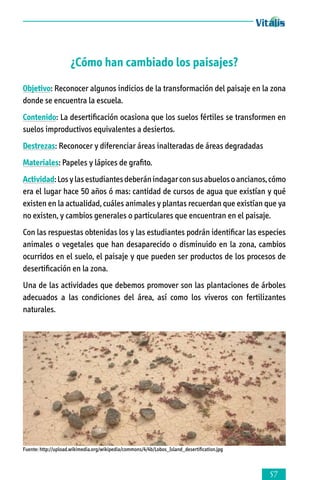 ¿Cómo han cambiado los paisajes?
Objetivo: Reconocer algunos indicios de la transformación del paisaje en la zona
donde se encuentra la escuela.
Contenido: La desertificación ocasiona que los suelos fértiles se transformen en
suelos improductivos equivalentes a desiertos.
Destrezas: Reconocer y diferenciar áreas inalteradas de áreas degradadas
Materiales: Papeles y lápices de grafito.
Actividad: Los y las estudiantes deberán indagar con sus abuelos o ancianos, cómo
era el lugar hace 50 años ó mas: cantidad de cursos de agua que existían y qué
existen en la actualidad, cuáles animales y plantas recuerdan que existían que ya
no existen, y cambios generales o particulares que encuentran en el paisaje.
Con las respuestas obtenidas los y las estudiantes podrán identificar las especies
animales o vegetales que han desaparecido o disminuido en la zona, cambios
ocurridos en el suelo, el paisaje y que pueden ser productos de los procesos de
desertificación en la zona.
Una de las actividades que debemos promover son las plantaciones de árboles
adecuados a las condiciones del área, así como los viveros con fertilizantes
naturales.

Fuente: http://upload.wikimedia.org/wikipedia/commons/4/4b/Lobos_Island_desertification.jpg



 