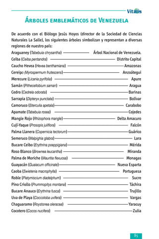 Árboles emblemáticos de Venezuela
De acuerdo con el Biólogo Jesús Hoyos (director de la Sociedad de Ciencias
Naturales La Salle), los siguientes árboles simbolizan y representan a diversas
regiones de nuestro país:
Araguaney (Tabebuia chrysantha)— —————— Árbol Nacional de Venezuela.
Ceiba (Ceiba pentandra)— ——————————————— Distrito Capital
Caucho Hevea (Hevea benthamiana)— ————————————— Amazonas
Cereipo (Myrospermum frutescens)—————————————— Anzoátegui
Merecure (Licania pyrifolia)— ————————————————— Apure
Samán (Pithecellobium saman)— ———————————————— Aragua
Cedro (Cedrela odorata)— —————————————————— Barinas
Sarrapia (Dipteryx punctata)—————————————————— Bolívar
Camoruco (Sterculia apetala)————————————————— Carabobo
Apamate (Tabebuia rosea)— ————————————————— Cojedes
Mangle Rojo (Rhizophora mangle)————————————— Delta Amacuro
Cují-Yaque (Prosopis juliflora)— ———————————————— Falcón
Palma Llanera (Copernicia tectorum)——————————————— Guárico
Semeruco (Malpighia glabra)——————————————————— Lara
Bucare Ceibo (Erythrina poeppigiana)——————————————— Mérida
Roso Blanco (Brownea leucantha)——————————————— Miranda
Palma de Moriche (Mauritia flexuosa)— ———————————— Monagas
Guayacán (Guaiacum officinale)—————————————— Nueva Esparta
Caoba (Swietenia macrophylla)— —————————————— Portuguesa
Roble (Platymiscium diadelphum)— ——————————————— Sucre
Pino Criollo (Prummopitys montana)— —————————————— Táchira
Bucare Anauco (Erythrina fusca)— ——————————————— Trujillo
Uva de Playa (Coccoloba uvifera)— ——————————————— Vargas
Chaguaramo (Roystonea oleracea)— —————————————— Yaracuy
Cocotero (Cocos nucifera)— —————————————————— Zulia



 