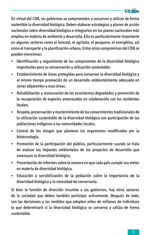 En virtud del CDB, los gobiernos se comprometen a conservar y utilizar de forma
sostenible la diversidad biológica. Deben elaborar estrategias y planes de acción
nacionales sobre diversidad biológica e integrarlos en los planes nacionales más
amplios en materia de ambiente y desarrollo. Ello es particularmente importante
en algunos sectores como el forestal, el agrícola, el pesquero, el energético, así
como el transporte y la planificación urbana. Entre otros compromisos del CDB se
pueden mencionar:
•	 Identificación y seguimiento de los componentes de la diversidad biológica
importantes para su conservación y utilización sustentable.
•	 Establecimiento de áreas protegidas para conservar la diversidad biológica y
al mismo tiempo promoción de un desarrollo ambientalmente adecuado en
zonas adyacentes a esas áreas.
•	 Rehabilitación y restauración de los ecosistemas degradados y promoción de
la recuperación de especies amenazadas en colaboración con los residentes
locales.
•	 Respeto, preservación y mantenimiento de los conocimientos tradicionales de
la utilización sustentable de la diversidad biológica con participación de las
poblaciones indígenas y las comunidades locales.
•	 Control de los riesgos que plantean los organismos modificados por la
biotecnología.
•	 Promoción de la participación del público, particularmente cuando se trata
de evaluar los impactos ambientales de los proyectos de desarrollo que
amenazan la diversidad biológica.
•	 Presentación de informes sobre la manera en que cada país cumple sus metas
en materia de diversidad biológica.
•	 Educación y sensibilización de la población sobre la importancia de la
diversidad biológica y la necesidad de conservarla.
Si bien la función de dirección incumbe a los gobiernos, hay otros sectores
de la sociedad que deben también participar activamente. Después de todo,
son las decisiones y las medidas que adopten miles de millones de individuos
lo que determinará si la diversidad biológica se conserva y utiliza de forma
sustentable.



 