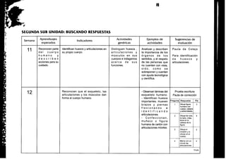 Guia docente 1º Básico: Varios subsectores