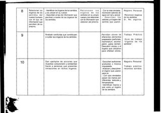 Guia docente 1º Básico: Varios subsectores