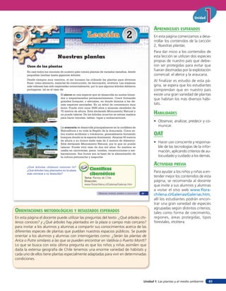 Unidad


                                                                                                                    aprendiZaJes esperados
                                                       Lección                               2                      En esta página comenzamos a desa-
                                                                                                                    rrollar los contenidos de la Lección
                                                                                                                    2, Nuestras plantas.
                                                                                                                    Para dar inicio a los contenidos de
                                 Nuestras plantas                                                                   esta lección se utilizan dos especies
                                                                                                                    propias de nuestro país que debie-
       Usos de las plantas                                                                                          ron ser protegidas para evitar que
       En casi todos los rincones de nuestro país crecen plantas de variados tamaños, desde
                                                                                                                    fueran diezmadas por la explotación
       pequeñas hierbas hasta gigantes árboles.                                                                     comercial: el alerce y la araucaria.
       Desde tiempos muy remotos, el ser humano ha utilizado las plantas para diversos                              Al finalizar es estudio de esta pá-
       fines: como alimento, material de construcción, de decoración, etcétera. Las maderas
       más valiosas han sido explotadas comercialmente, por lo que algunos árboles debieron                         gina, se espera que los estudiantes
       protegerse, tal es el caso de:                                                                               comprendan que en nuestro país
                                  El alerce es una especie que se desarrolla en suelos húme-                        existe una gran variedad de plantas
                                  dos y empantanados permanentemente. Crece formando                                que habitan los más diversos hábi-
                                  grandes bosques, o alerzales, en donde domina a las de-
                                  más especies asociadas. Es un árbol de crecimiento muy                            tats.
                                  lento. Puede vivir unos 3500 años y alcanzar alrededor de
                                  70 metros de altura. Está declarado Monumento Natural y
                                  no puede talarse. De los árboles muertos se extrae madera                         HaBilidades
                                  para hacer tejuelas, tablas, vigas y embarcaciones.
                       Alerces
                                                                                                                    • Observar, analizar, predecir y co-
                                  La araucaria se desarrolla principalmente en la cordillera de
                                                                                                                      municar.
                                  Nahuelbuta y en toda la Región de la Araucanía. Crece so-
                                  bre suelos arcillosos o volcánicos, generalmente formando
                                  bosques donde es la especie dominante. Alcanza 50 metros
                                                                                                                    oaT
                                  de altura y su tronco mide más de 2 metros de diámetro.
                                  Está declarado Monumento Natural, por lo que no puede
                                                                                                                    • Hacer uso consciente y responsa-
                                  talarse. Puede vivir más de dos mil años. Su madera se                              ble de las tecnologías de la infor-
                    Araucarias
                                  usaba en carrocerías, pisos, toneles, construcciones y em-                          mación, aplicando criterios de au-
                                  barcaciones. Sus frutos son la base de la alimentación de
                                  la cultura pehuenche y mapuche.                                                     tocuidado y cuidado a los demás.

       ¿Qué árboles chilenos conoces tú?
                                                                                                                    acTiVidad preVia
       ¿Qué árboles hay plantados en la plaza            Científicos
                                                                                                                    Para ayudar a los niños y niñas a en-
       más cercana a tu domicilio?                       cibernéticos
                                                     Tema: Plantas de Chile                                         tender mejor los contenidos de esta
                                                     Dirección:                                                     página, se recomienda al docente
                                                     www.florachilena.cl/Galerias/Galerias.htm                      que invite a sus alumnos y alumnas
                                                                                                                    a visitar el sitio web www.flora-
                                                                 Observar, analizar, predecir y comunicar   27
                                                                                                                    chilena.cl/Galerias/Galerias.htm,
                                                                                                                    allí los estudiantes podrán encon-
                                                                                                                    trar una gran variedad de especies
                                                                                                                    agrupadas según distintos criterios;
orienTaciones MeTodolóGicas Y resulTados esperados                                                                  tales como forma de crecimiento,
En esta página el docente puede utilizar las preguntas del texto: ¿Qué árboles chi-                                 regiones, áreas protegidas, tipos
lenos conoces? y ¿Qué árboles hay plantados en la plaza o campo más cercano?                                        forestales, etcétera.
para invitar a los alumnos y alumnas a compartir sus conocimientos acerca de las
diferentes especies de plantas que pueblan nuestros espacios públicos. Se puede
orientar a los alumnos y alumnas con interrogantes como: ¿Serán las plantas de
Arica o Putre similares a las que se pueden encontrar en Valdivia o Puerto Montt?
Lo que se busca con esta última pregunta es que los niños y niñas asimilen que
dada la extensa geografía de Chile tenemos una enorme variedad de hábitats y
cada uno de ellos tiene plantas especialmente adaptadas para vivir en determinadas
condiciones.




                                                                                                             Unidad 1: Las plantas y el medio ambiente   43
 