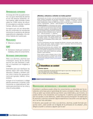 aprendiZaJes esperados
A lo largo de Chile se puede encon-
                                               ¡Hierbas, arbustos y árboles en todas partes!
trar una gran diversidad de plantas
                                               Comenzando por el norte, y en los sectores próximos al mar encontramos cactos,
en los más diversos ambientes: zo-             docas, totoras y junquillos. En los llanos desérticos se halla el tamarugo y el chañar
nas costeras, valles centrales o áreas         y florecen hierbas como la “mariposita” “huasita”, “cebollín” y “cartucho”. En las
sobre los 3.000 metros de altura.              zonas cordilleranas y sobre los 3000 metros sobre el nivel del mar se hallan especies
                                               como la “chachacoma”, “llareta”, “pata de lagarto” y “uña de gato”.
En esta página se abordan nuestras
                                               El desierto ﬂorido es un fenómeno que consis-
hierbas, arbustos y árboles.                   te en la aparición de una diversidad de plantas
                                               en los años en que las lluvias pasan el rango
Se espera que una vez desarrolla-              normal para el desierto. Las precipitaciones ha-
dos los contenidos los estudiantes             cen que semillas y bulbos germinen cambiando
reconozcan la existencia de plantas            la aridez por flores brillantes como la “garra de
                                               león”, “pata de guanaco” y “añañuca”.
especialmente adaptadas a los dis-
                                               En la zona central habitan árboles y arbustos
tintos hábitats de nuestro país.               como espino, boldo, roble, quillay, arrayán, pal-
                                               ma chilena, maitén, y el chagual. Entre otras Desierto ﬂorido
HaBilidades                                    hierbas viven la tembladera, berro, bledo, yuyo
                                               y ortiguilla.
                                               En el sur encontramos otra gran variedad de árboles y arbustos como olivillo, luma,
• Observar y registrar.                        ulmo, ciprés, palo santo, canelo, avellano, alerce y araucaria. Entre las hierbas se
                                               cuenta la chicory, melosa y flor del gallo.
oaT                                            Nuestra flora es hermosa, pero ¡cuidado!, tam-
                                               bién existen plantas que pueden causarnos un
• Demostrar interés por conocer la             daño; por ejemplo, las plantas que son veneno-
                                               sas: pircún, cardo santo, hierba loca, pichoga,
  realidad y utilizar el conocimiento.         chamico o palo hediondo.
                                               Otras pueden causar alergias como el litre,
acTiVidad coMpleMenTaria                       cuyas hojas producen un líquido que resulta
                                               urticante para algunas personas. ¿Has tocado
Pida a sus alumnos y alumnas que               alguna planta urticante? ¿Cómo te han aliviado Chamico
                                               la irritación?
investiguen acerca de las plantas
que les son más familiares y reali-
cen un muestrario con imágenes o
collage.                                               ¡Científicos en acción!
Oriéntelos para que clasifiquen las               Plantas típicas
plantas según sean estas hierbas,                 Consigue fotografías de plantas típicas del lugar en que vives. Averigua sus nom-
                                                  bres y escríbelo junto a las imágenes.
arbustos o árboles y también utili-               Haz un collage con las fotos y exhíbelo en la sala de clases.
cen otros criterios de agrupación,
como por ejemplo, hábitat, clima,
etcétera.
                                         28   Unidad 1 • Lección 2: Nuestras plantas
Incluyan en el muestrario o collage
plantas venenosas o irritantes, pues
conocerlas es especialmente rele-
vante para promover en los niños y       orienTaciones MeTodolóGicas Y resulTados esperados
niñas el autocuidado.
                                         El profesor o profesora puede utilizar los conocimientos ya adquiridos por los es-
                                         tudiantes como base para el aprendizaje de nuevos conceptos e ideas. Los niños y
                                         niñas ya saben que existen plantas que tienen usos medicinales y, por lo tanto, se
                                         puede orientar a los estudiantes con la pregunta: Si sabemos que existen plantas
                                         que nos ayudan a curar dolencias, ¿habrá otras que las provoquen? Se espera que
                                         los alumnos y alumnas comenten alguna experiencia o escuchen a los que alguna
                                         vez sí se han visto afectados.
                                         El docente, para ayudar aún más a sus alumnos y alumnas, puede formular pre-
                                         guntas como: ¿Qué sucede con la llegada de la primavera en los árboles? ¿Eres
                                         alérgico al polen o conoces a alguien que lo sea?




44   Guía Didáctica para el Profesor
 