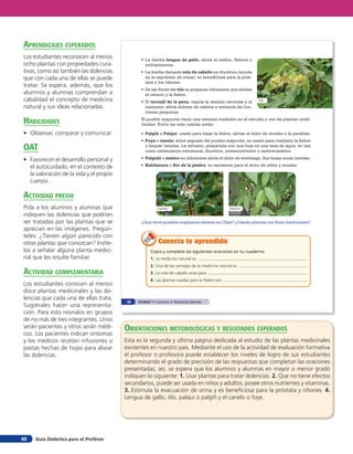 aprendiZaJes esperados
Los estudiantes reconocen al menos              • La hierba lengua de gallo, alivia el resfrío, fiebres y
ocho plantas con propiedades cura-                enfriamientos.
tivas, como así también las dolencias           • La hierba llamada cola de caballo es diurético (ayuda
que con cada una de ellas se puede                en la expulsión de orina), es beneficiosa para la prós-
                                                  tata y los riñones.
tratar. Se espera, además, que los
                                                • De las flores del tilo se preparan infusiones que alivian
alumnos y alumnas comprendan a                    el catarro y la fiebre.
cabalidad el concepto de medicina               • El toronjil de la pena, regula la tensión nerviosa y el     Tilo
natural y sus ideas relacionadas.                 insomnio, alivia dolores de cabeza y estimula las fun-
                                                  ciones psíquicas.

HaBilidades                                     El pueblo mapuche tiene una extensa tradición en el estudio y uso de plantas medi-
                                                cinales. Entre las más usadas están:

• Observar, comparar y comunicar.               • Palgiñ o Palqui: usado para bajar la fiebre, aliviar el dolor de muelas y la parálisis.
                                                • Foye o canelo: árbol sagrado del pueblo mapuche, es usado para combatir la fiebre
oaT                                               y limpiar heridas. La infusión, preparada con una hoja en una taza de agua, se usa
                                                  como estimulante estomacal, diurético, antiescorbútico y antirreumático.

• Favorecer el desarrollo personal y            • Palguñi o matico en infusiones alivia el dolor de estómago. Sus hojas curan heridas.

  el autocuidado, en el contexto de             • Kalchacura o ﬂor de la piedra: es excelente para el dolor de oídos y muelas.

  la valoración de la vida y el propio
  cuerpo.

acTiVidad preVia
Pida a los alumnos y alumnas que                          Canelo                                  Matico
indiquen las dolencias que podrían
ser tratadas por las plantas que se             ¿Qué otros pueblos originarios existen en Chile? ¿Usarán plantas con fines medicinales?
aprecian en las imágenes. Pregún-
teles: ¿Tienen algún parecido con
otras plantas que conozcan? Invíte-                        Conecta lo aprendido
los a señalar alguna planta medici-                   Copia y completa las siguientes oraciones en tu cuaderno.
nal que les resulte familiar.                         1. La medicina natural es
                                                      2. Una de las ventajas de la medicina natural es
acTiVidad coMpleMenTaria                              3. La cola de caballo sirve para
                                                      4. Las plantas usadas para la fiebre son
Los estudiantes conocen al menos
doce plantas medicinales y las do-
lencias que cada una de ellas trata.
                                          30   Unidad 1 • Lección 2: Nuestras plantas
Sugiérales hacer una representa-
ción. Para esto reúnalos en grupos
de no más de tres integrantes. Unos
serán pacientes y otros serán médi-      orienTaciones MeTodolóGicas Y resulTados esperados
cos. Los pacientes indican síntomas
y los médicos recetan infusiones o       Esta es la segunda y última página dedicada al estudio de las plantas medicinales
pastas hechas de hojas para aliviar      existentes en nuestro país. Mediante el uso de la actividad de evaluación formativa
las dolencias.                           el profesor o profesora puede establecer los niveles de logro de sus estudiantes
                                         determinando el grado de precisión de las respuestas que completan las oraciones
                                         presentadas; así, se espera que los alumnos y alumnas en mayor o menor grado
                                         indiquen lo siguiente: 1. Usar plantas para tratar dolencias. 2. Que no tiene efectos
                                         secundarios, puede ser usada en niños y adultos, posee otros nutrientes y vitaminas.
                                         3. Estimula la evacuación de orina y es beneficiosa para la próstata y riñones. 4.
                                         Lengua de gallo, tilo, palqui o palgiñ y el canelo o foye.




46   Guía Didáctica para el Profesor
 