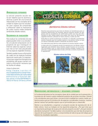 aprendiZaJes esperados
La sección presente sección tie-
ne por objetivo que los alumnos y
alumnas a partir de una la lectura
relacionada con los conceptos de la
unidad se espera que los estudian-
tes sean capaces de comprender
y reflexionar sobre la importancia                                  ¡Sembremos árboles nativos!
de cuidar nuestro medio ambiente
                                                   Muchas veces pensamos que todos los árboles son beneficiosos para un
sembrando árboles nativos.                         ambiente determinado. Sin embargo, algunas especies resultan ser peli-
                                                   grosas para los ecosistemas de nuestro país, puesto que han sido intro-
suGerencia de eValuación                           ducidas en ellos, traídas desde otros países. Hay cerca de 700 especies
                                                   vegetales foráneas cultivadas en áreas urbanas y rurales de Chile.
Para evaluar los contenidos de esta                Entre ellas se cuenta la zarzamora, el espinillo y la retamilla, consideradas
                                                   plantas invasoras que han quitado espacio a las plantas nativas, ya que
página puede invitar a sus estudian-               sus densos matorrales impiden el desarrollo de plantas nativas.
tes a la sala de computación con el                Una alternativa para disminuir este problema es sembrar árboles nativos.
propósito de que investiguen en                    La ejecución de un proyecto escolar de reproducción de árboles nativos
Internet sobre las especies nativas                regionales para reforestar áreas silvestres, puede iniciarse con la recolec-
que más se han visto perjudicadas                  ción de semillas, crear un vivero escolar, sembrar, entregar cuidado a las
                                                   plántulas y luego reforestar áreas locales. ¡Anímate a hacerlo, el planeta te
con las especies vegetales foráneas.               lo agradecerá!

También pueden buscar información
                                                                              Árboles nativos de Chile
de cuáles son las especies foráneas
típicas de nuestro país. Es importan-
te que para organizar el proyecto los
estudiantes del grupo cuenten con
toda la información necesaria que
les facilite el trabajo.
Visitar la dirección:
http://www.icarito.cl/
enciclopedia/articulo/primer-                      Araucaria                          Coihue             Palma chilena
ciclo-basico/ciencias-naturales/
estructura-y-funcion-de-
los-seres-vivos/2010/06/21-
7672-9-flora-chilena.shtml
                                        34   Unidad 1 • Lección 2: Nuestras plantas




                                        orienTaciones MeTodolóGicas Y resulTados esperados
                                        Es fundamental potenciar los conceptos claves de la unidad que son la prevención y
                                        la protección de nuestro cuerpo mediante la práctica de acciones concretas. Oriente
                                        a los estudiantes para que tomen conciencia de la realidad de nuestro medio am-
                                        biente puesto que por la introducción de especies consideradas invasoras, nuestras
                                        plantas nativas han perdido espacio que es primordial para su desarrollo.
                                        Motive a sus estudiantes a organizar un proyecto escolar de reproducción de ár-
                                        boles nativos. Guíe sus trabajos con las siguientes preguntas: ¿Por qué crees que
                                        es importante participar de la ejecución de este proyecto escolar? ¿De qué manera
                                        abordaría el proyecto? Se debe explicar a los estudiantes que este tipo de proyectos
                                        requiere de la participación activa y comprometida de todo el grupo de trabajo para
                                        obtener los resultados esperados.



50   Guía Didáctica para el Profesor
 