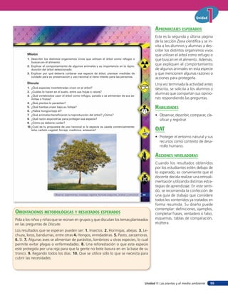Unidad


                                                                                                                              aprendiZaJes esperados
                                                                                                                              Esta es la segunda y última página
                                                                                                                              de la sección Zona científica y se in-
                                                                                                                              vita a los alumnos y alumnas a des-
                                                                                                                              cribir los distintos organismos vivos
       Misión                                                                                                                 que utilizan el árbol como refugio o
       1. Describir los distintos organismos vivos que utilizan el árbol como refugio o                                       que buscan en él alimento. Además,
          buscan en él alimento.
       2. Explicar el comportamiento de algunos animales y su importancia en la repro-
                                                                                                                              que expliquen el comportamiento
          ducción del árbol seleccionado.                                                                                     de algunos animales en esta especie
       3. Explicar por qué debería cuidarse esa especie de árbol, plantear medidas de                                         y que mencionen algunas razones o
          cuidado para su preservación y uso racional si tiene interés para las personas.
                                                                                                                              acciones para protegerla.
       Discute                                                                                                                Una vez terminada la actividad antes
       1. ¿Qué especies invertebradas viven en el árbol?                                                                      descrita, se solicita a los alumnos y
       2. ¿Cuáles lo hacen en el suelo, entre sus hojas o raíces?
                                                                                                                              alumnas que compartan sus opinio-
       3. ¿Qué vertebrados usan el árbol como refugio, parada o se alimentan de sus se-
           millas o frutos?                                                                                                   nes respondiendo las preguntas.
       4. ¿Qué plantas lo parasitan?
       5. ¿Qué hierbas viven bajo su follaje?                                                                                 HaBilidades
       6. ¿Había hongos bajo él?
       7. ¿Qué animales beneficiarán la reproducción del árbol? ¿Cómo?                                                        • Observar, describir, comparar, cla-
       8. ¿Qué razón expondrías para proteger esa especie?                                                                      sificar y registrar.
       9. ¿Cómo se debería cuidar?
       10. ¿Cuál es tu propuesta de uso racional si la especie es usada comercialmente:
           leña, carbón vegetal, forraje, medicina, artesanía?                                                                oaT
                                                                                                                              • Proteger el entorno natural y sus
                                                                                                                                recursos como contexto de desa-
                                                                                                                                rrollo humano.

                                                                                                                              acciones niVeladoras
                                                                                                                              Cuando los resultados obtenidos
                                                                                                                              por los estudiantes estén debajo de
                                                                                                                              lo esperado, es conveniente que el
                                                                                                                              docente decida realizar una retroali-
                                                                                                                              mentación utilizando distintas estra-
                                                                                                                              tegias de aprendizaje. En este senti-
                                                                                                                              do, se recomienda la confección de
                            Observar, experimentar, investigar, registrar, formular preguntas, analizar y comunicar   39      una guía de trabajo que considere
                                                                                                                              todos los contenidos ya tratados en
                                                                                                                              forma resumida. Su diseño puede
                                                                                                                              contemplar: definiciones, ejemplos,
orienTaciones MeTodolóGicas Y resulTados esperados                                                                            completar frases, verdadero o falso,
Pida a los niños y niñas que se reúnan en grupos y que discutan los temas planteados                                          esquemas, tablas de comparación,
en las preguntas de Discute.                                                                                                  etcétera.
Los resultados que se esperan pueden ser: 1. Insectos. 2. Hormigas, abejas. 3. Le-
chuza, loros, bandurrias, entre otras 4. Hongos, enredaderas. 5. Pasto, zarzamoras.
6. Sí. 7. Algunas aves se alimentan de parásitos, lombrices u otras especies, lo cual
permite evitar plagas o enfermedades. 8. Una reforestación o que esta especie
esté protegida por una reja para que la gente no bote basura en en la base de su
tronco. 9. Regando todos los días. 10. Que se utilice sólo lo que se necesita para
cubrir las necesidades.




                                                                                                                       Unidad 1: Las plantas y el medio ambiente   55
 