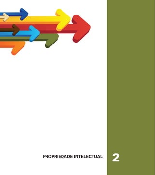 PROPRIEDADE INTELECTUAL
2
 