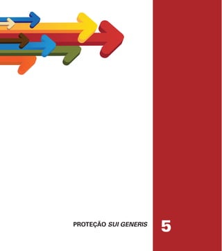 PROTEÇÃO SUI GENERIS
5
 