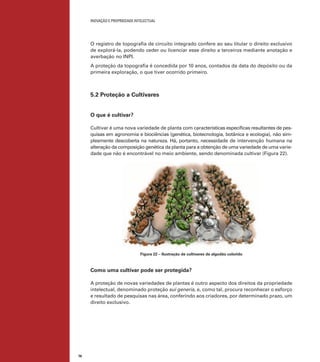 INOVAÇÃO E PROPRIEDADE INTELECTUAL
76
O registro de topograﬁa de circuito integrado confere ao seu titular o direito exclusivo
de explorá-la, podendo ceder ou licenciar esse direito a terceiros mediante anotação e
averbação no INPI.
A proteção da topograﬁa é concedida por 10 anos, contados da data do depósito ou da
primeira exploração, o que tiver ocorrido primeiro.
5.2 Proteção a Cultivares
O que é cultivar?
Cultivar é uma nova variedade de planta com características especíﬁcas resultantes de pes-
quisas em agronomia e biociências (genética, biotecnologia, botânica e ecologia), não sim-
plesmente descoberta na natureza. Há, portanto, necessidade de intervenção humana na
alteração da composição genética da planta para a obtenção de uma variedade de uma varie-
dade que não é encontrável no meio ambiente, sendo denominada cultivar (Figura 22).
Figura 22 – Ilustração de cultivares de algodão colorido
Como uma cultivar pode ser protegida?
A proteção de novas variedades de plantas é outro aspecto dos direitos da propriedade
intelectual, denominado proteção sui generis, e, como tal, procura reconhecer o esforço
e resultado de pesquisas nas área, conferindo aos criadores, por determinado prazo, um
direito exclusivo.
 