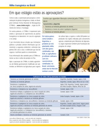 11
Milho transgênico no Brasil
Em que estágio estão as aprovações?
Como se sabe, a autorização para pesquisa e comer-
cialização de plantas transgênicas é dada, no Brasil,
pela Comissão Técnica Nacional de Biossegurança
(CTNBio) – www.ctnbio.org.br –, órgão do Mi-
nistério de Ciência e Tecnologia.
Em outras palavras, a CTNBio é responsável pela
análise e aprovação de experimentos de plantas
transgênicas no laboratório, em casa de vegetação
e no campo.
É por intermédio desses estudos que instituições
públicas e privadas coletam informações que de-
monstram a segurança ambiental e alimentar das
plantas GM, caso a caso, e evidenciam que são tão
seguras e nutritivas quanto as convencionais.
Essas informações dão subsídios para a CTNBio au-
torizar ou não o cultivo do produto no País.
Após a aprovação da CTNBio, os dados agronômi-
cos do híbrido geneticamente modificado são sub-
metidos ao Ministério da Agricultura para registro
Em vários países,
como Canadá e
Argentina, o
produtor já está
plantando milho
com dois genes
combinados; nos
EUA, os agricultores
já utilizam cultivares
com três
características
combinadas; no
Brasil, entretanto,
ainda não foi liberado
nenhum evento
Cultivares de milho GM já plantadas no mundo
Eventos que aguardam liberação comercial pela CTNBio
MILHO
Característica adquirida
• Tolerância ao herbicida glufosinato de amônio
• Resistência a insetos da ordem Lepidóptera (lagartas)
• Tolerância ao herbicida glifosato
da cultivar. Após o registro, o milho GM poderá ser
produzido nas regiões indicadas pelo zoneamento
agrícola, estabelecido pelo Ministério da Agricultu-
ra, órgão responsável também pela fiscalização das
pesquisas de campo.
Fonte: AGBIOS e ISAAA, 2006
Larva-alfinete (Diabrotica spp.) – inseto da ordem das Coleópteras
Broca européia do colmo (Ostrinia nubilalis) – inseto da ordem das Lepidópteras
Lagarta-do-cartucho (Spodoptera frugiperda) – inseto da ordem das Lepidópteras
Tolerância ao herbicida glufosinato de amônio Argentina, Austrália, Canadá, Japão e EUA
Tolerância ao herbicida glifosato Argentina, Canadá, Japão, África do Sul e EUA
Resistência a Lepidópteros Japão, EUA, Argentina, Canadá, alguns países
(ex. broca européia do colmo, lagarta-do-cartucho) da União Européia, Filipinas, África do Sul
Resistência a Coleópteros (ex. larva-alfinete) Canadá, Japão e EUA
Resistência múltipla a Lepidópteros (ex. broca européia do colmo, Canadá, Japão e EUA
lagarta-do-cartucho) e a Coleópteros (ex. larva-alfinete)
Resistência a Lepidópteros (ex. broca européia do colmo, União Européia, Canadá, Japão e EUA
lagarta-do-cartucho) e tolerância ao herbicida glifosato
Resistência a Coleópteros (ex. larva-alfinete) e tolerância ao herbicida glifosato Canadá, Japão e EUA
Resistência a Lepidópteros (ex. broca européia do colmo, Argentina, Canadá, Japão (teste), alguns países
lagarta-do-cartucho) e tolerância ao herbicida glufosinato de amônio da União Européia (teste), Uruguai e EUA
Resistência múltipla a Lepidópteros (ex. broca européia do colmo, Canadá, Japão e EUA
lagarta-do-cartucho) e a Coleópteros (ex. larva-alfinete) e tolerância
ao herbicida glufosinato de amônio
Macho-esterilidade e tolerância ao herbicida glufosinato de amônio Canadá e EUA
 