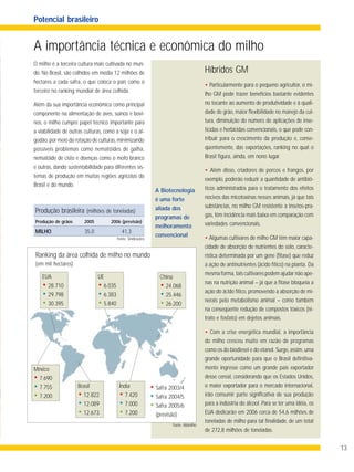 13
A importância técnica e econômica do milho
O milho é a terceira cultura mais cultivada no mun-
do. No Brasil, são colhidos em média 12 milhões de
hectares a cada safra, o que coloca o país como o
terceiro no ranking mundial de área colhida.
Além da sua importância econômica como principal
componente na alimentação de aves, suínos e bovi-
nos, o milho cumpre papel técnico importante para
a viabilidade de outras culturas, como a soja e o al-
godão,por meio da rotação de culturas,minimizando
possíveis problemas como nematóides de galha,
nematóide de cisto e doenças como o mofo branco
e outras, dando sustentabilidade para diferentes sis-
temas de produção em muitas regiões agrícolas do
Brasil e do mundo.
Ranking da área colhida de milho no mundo
(em mil hectares)
China
• 24.068
• 25.446
• 26.200
UE
• 6.035
• 6.383
• 5.840
EUA
• 28.710
• 29.798
• 30.395
México
• 7.690
• 7.755
• 7.200
Brasil
• 12.822
• 12.089
• 12.673
Índia
• 7.420
• 7.000
• 7.200
• Safra 2003/4
• Safra 2004/5
• Safra 2005/6
(previsão)
Fonte: Sindirações
Potencial brasileiro
Produção brasileira (milhões de toneladas)
Produção de grãos 2005 2006 (previsão)
MILHO 35,0 41,3
Fonte: Abimilho
• Particularmente para o pequeno agricultor, o mi-
lho GM pode trazer benefícios bastante evidentes
no tocante ao aumento de produtividade e à quali-
dade de grão, maior flexibilidade no manejo da cul-
tura, diminuição do número de aplicações de inse-
ticidas e herbicidas convencionais, o que pode con-
tribuir para o crescimento da produção e, conse-
qüentemente, das exportações, ranking no qual o
Brasil figura, ainda, em nono lugar.
• Além disso, criadores de porcos e frangos, por
exemplo, poderão reduzir a quantidade de antibió-
ticos administrados para o tratamento dos efeitos
nocivos das micotoxinas nesses animais, já que tais
substâncias, no milho GM resistente a insetos-pra-
gas, têm incidência mais baixa em comparação com
variedades convencionais.
• Algumas cultivares de milho GM têm maior capa-
cidade de absorção de nutrientes do solo, caracte-
rística determinada por um gene (fitase) que reduz
a ação de antinutrientes (ácido fítico) na planta. Da
mesma forma,tais cultivares podem ajudar não ape-
nas na nutrição animal – já que a fitase bloqueia a
ação do ácido fítico, promovendo a absorção de mi-
nerais pelo metabolismo animal – como também
na conseqüente redução de compostos tóxicos (ni-
trato e fosfato) em dejetos animais.
• Com a crise energética mundial, a importância
do milho cresceu muito em razão de programas
como os do biodiesel e do etanol. Surge, assim, uma
grande oportunidade para que o Brasil definitiva-
mente ingresse como um grande país exportador
desse cereal, considerando que os Estados Unidos,
o maior exportador para o mercado internacional,
irão consumir parte significativa de sua produção
para a indústria do álcool. Para se ter uma idéia, os
EUA dedicarão em 2006 cerca de 54,6 milhões de
toneladas de milho para tal finalidade, de um total
de 272,8 milhões de toneladas.
Híbridos GM
A Biotecnologia
é uma forte
aliada dos
programas de
melhoramento
convencional
 