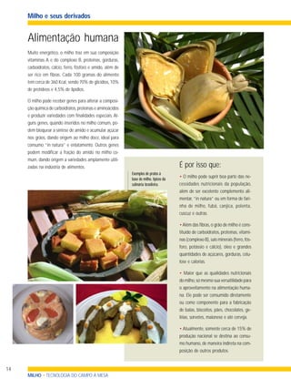 14
Alimentação humana
Muito energético, o milho traz em sua composição
vitaminas A e do complexo B, proteínas, gorduras,
carboidratos, cálcio, ferro, fósforo e amido, além de
ser rico em fibras. Cada 100 gramas do alimento
tem cerca de 360 Kcal, sendo 70% de glicídios, 10%
de protídeos e 4,5% de lipídios.
O milho pode receber genes para alterar a composi-
ção química de carboidratos,proteínas e aminoácidos
e produzir variedades com finalidades especiais. Al-
guns genes, quando inseridos no milho comum, po-
dem bloquear a síntese de amido e acumular açúcar
nos grãos, dando origem ao milho doce, ideal para
consumo “in natura” e enlatamento. Outros genes
podem modificar a fração do amido no milho co-
mum, dando origem a variedades amplamente utili-
zadas na indústria de alimentos.
• O milho pode suprir boa parte das ne-
cessidades nutricionais da população,
além de ser excelente complemento ali-
mentar, “in natura” ou em forma de fari-
nha de milho, fubá, canjica, polenta,
cuscuz e outras.
•Além das fibras, o grão de milho é cons-
tituído de carboidratos, proteínas, vitami-
nas (complexo B),sais minerais (ferro,fós-
foro, potássio e cálcio), óleo e grandes
quantidades de açúcares, gorduras, celu-
lose e calorias.
• Maior que as qualidades nutricionais
do milho,só mesmo sua versatilidade para
o aproveitamento na alimentação huma-
na. Ele pode ser consumido diretamente
ou como componente para a fabricação
de balas, biscoitos, pães, chocolates, ge-
léias, sorvetes, maionese e até cerveja.
• Atualmente, somente cerca de 15% de
produção nacional se destina ao consu-
mo humano, de maneira indireta na com-
posição de outros produtos.
É por isso que:
Exemplos de pratos à
base de milho, típicos da
culinária brasileira.
MILHO • TECNOLOGIA DO CAMPO À MESA
Milho e seus derivados
 